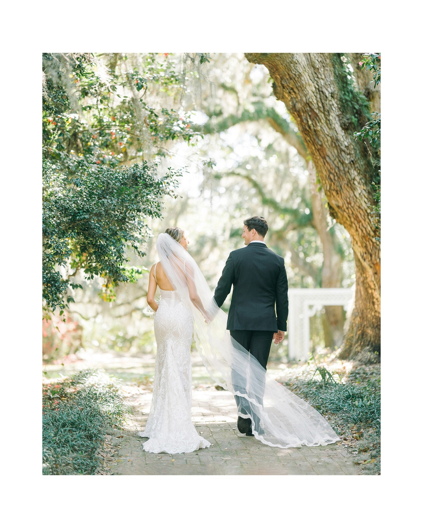 Couple walking beneath moss-draped oaks, gown train trailing